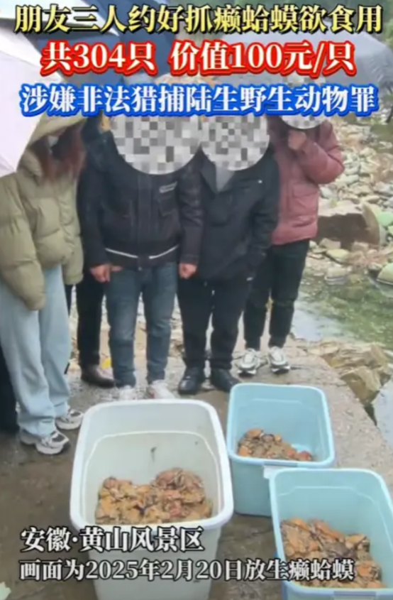 “活久见！”2025年，安徽，一男子和2名朋友抓癞蛤蟆吃，抓到300多只，还没来