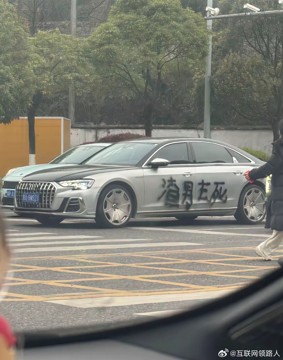 我看到了个创业失利的女人。