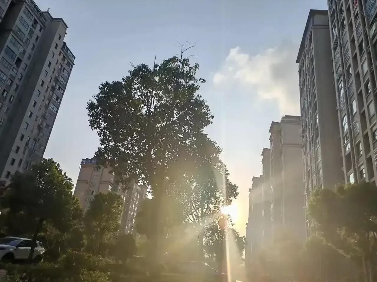 邻居大妈非常爱美，现在已经75岁了，还每个月染两次头发，稍微冒出来一点点白发根，