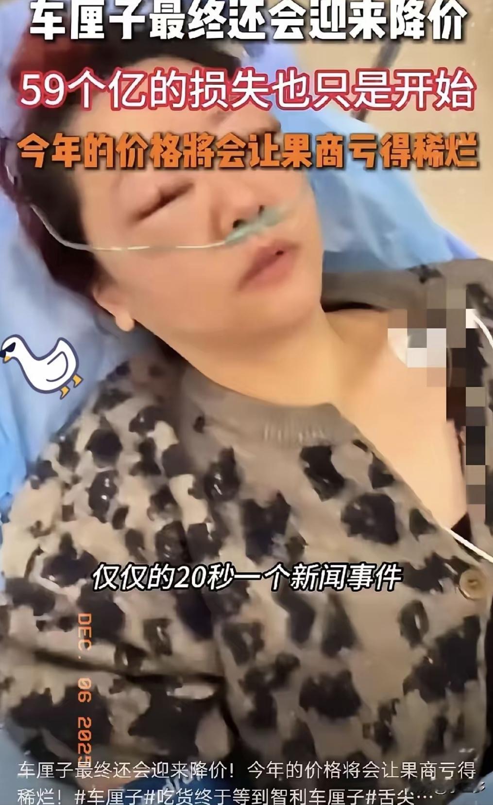 去年冬天我堂弟做水果批发赚了几十万，年后他跟着别人囤了一卡车车厘子想春节赚一笔。