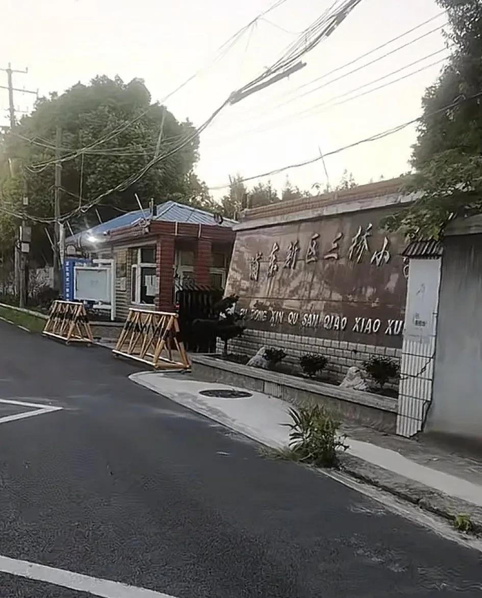这就是上海浦东新区三桥小学，说是今年招了22个一年级的学生，看周围的环境和郊区差