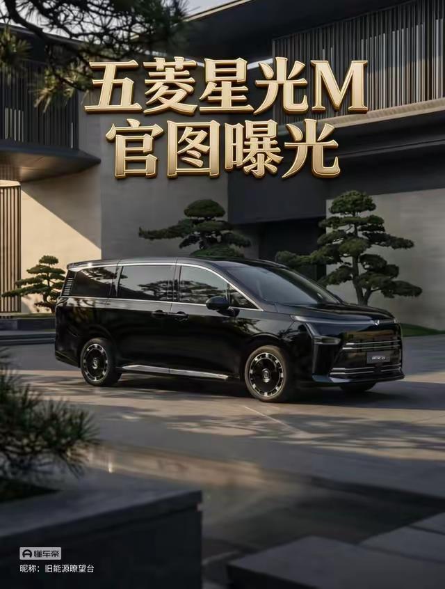 2026年可以闭眼入的五大车型。1：第1名比亚迪。2：第2名吉利汽车。3：第3名五菱汽车。4：第4名