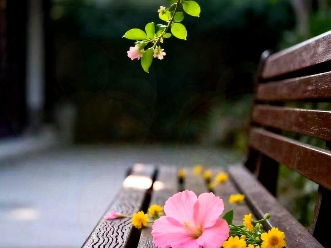 很多人活了一辈子都没搞懂：人生的悲剧，往往是把优先顺序搞反了！他把青春全耗在加