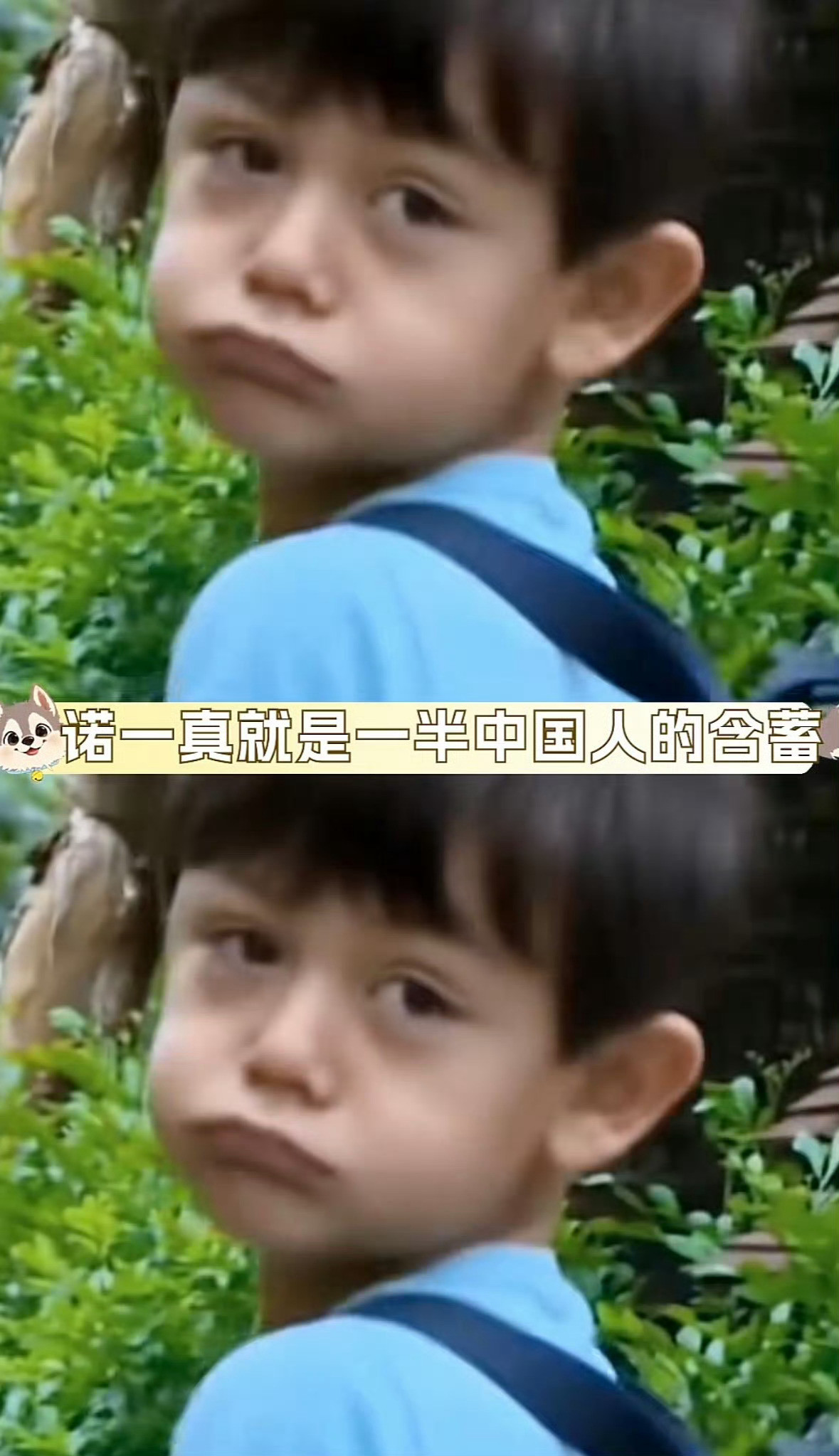 刘烨16岁儿子诺一颜值小时候很可爱现在长大了显老不觉得吗我觉得刘烨反而是回春
