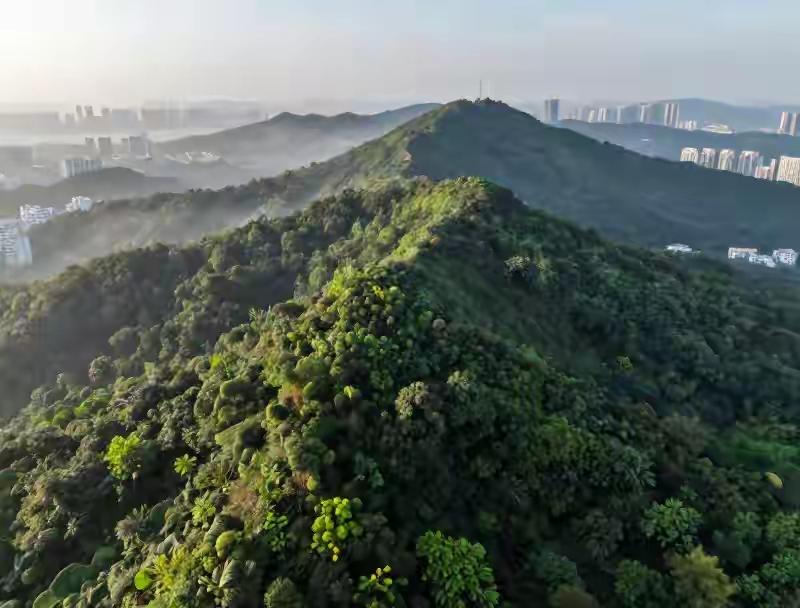 16万人挤进一座山，是什么体验？2026年五一，白云山给了答案。单日超过