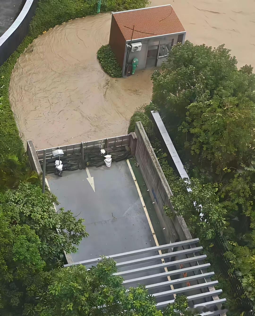 这物业费交的一点都不冤