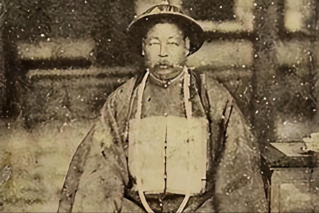 1882年9月，两江总督左宗棠幕僚王诗正、柳德元因行为不检被御史弹劾，朝廷命彭玉