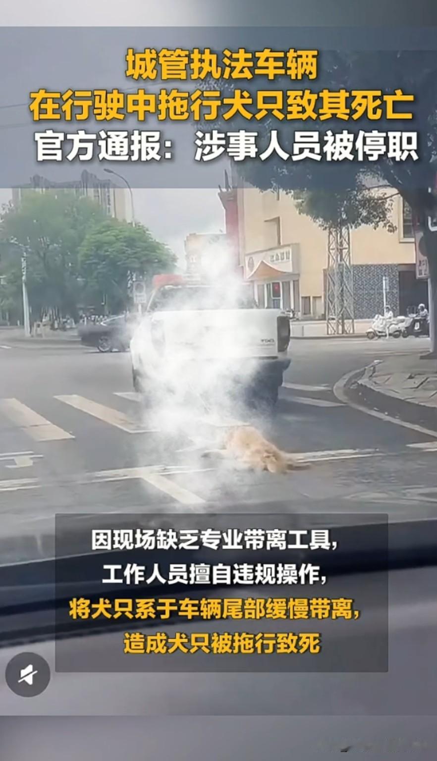 为什么会有这种人呢？