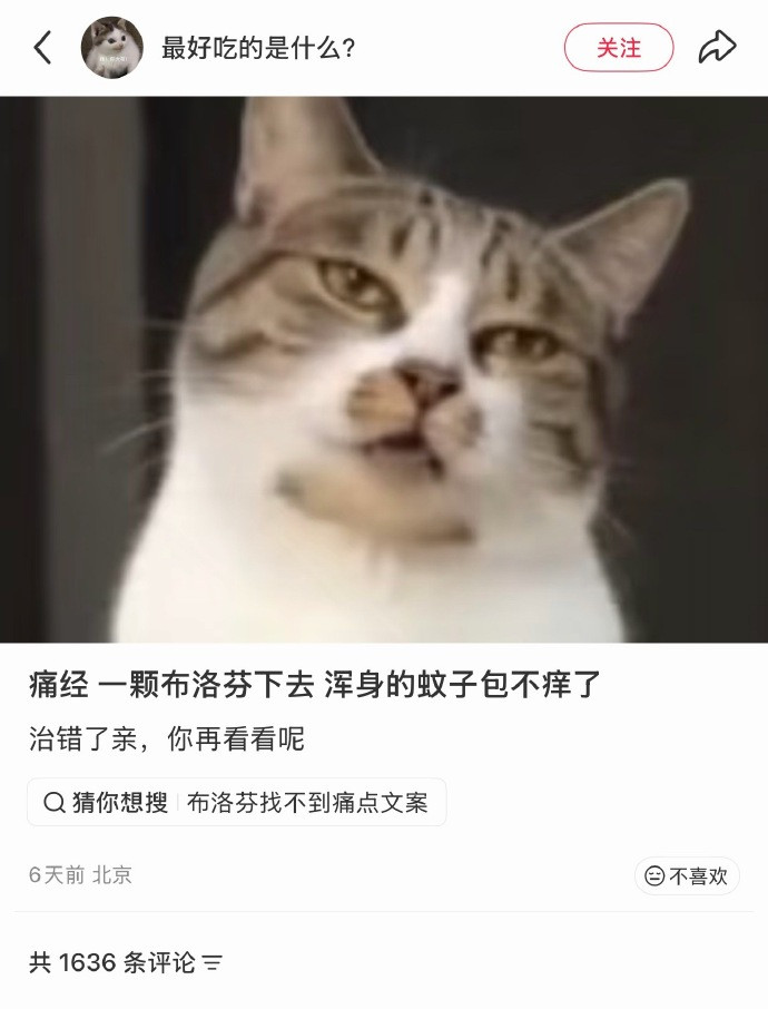 布洛芬：找痛经蚊子包：我不知道布洛芬：你不知道，好啊那就是你​​​