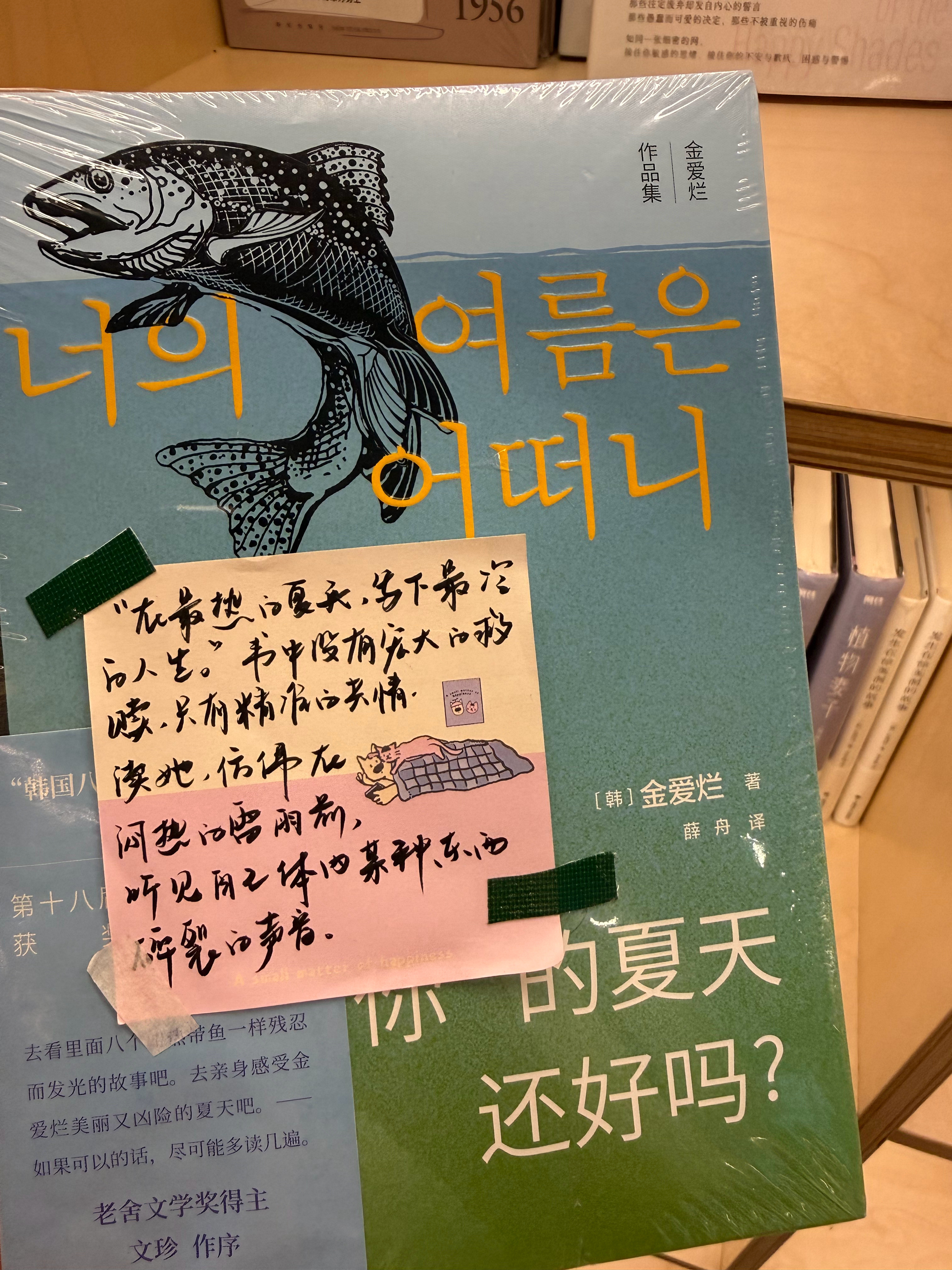 生活中总是能观察到小沈月的关联物。这说起来很容易，但也并不总是很容易，所以每