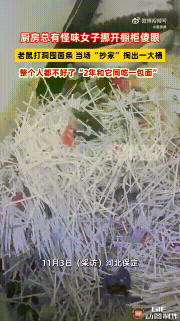 河北保定一名女子闻到厨房总是传出怪味，于是决定进行一次大扫除，把所有东西都移开后