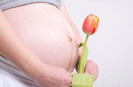 孕妈早期1-3月安胎吃什么? 需要注意什么? 附安胎食谱