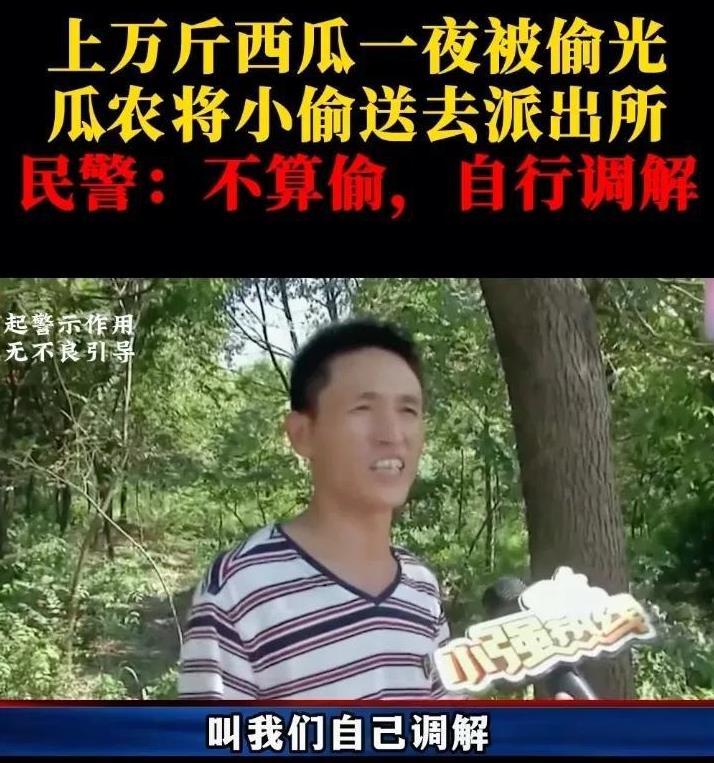 陈师傅与爱人辛苦种出的西瓜，竟被一伙人偷了个精光。陈师傅一气之下，将逮住的三个