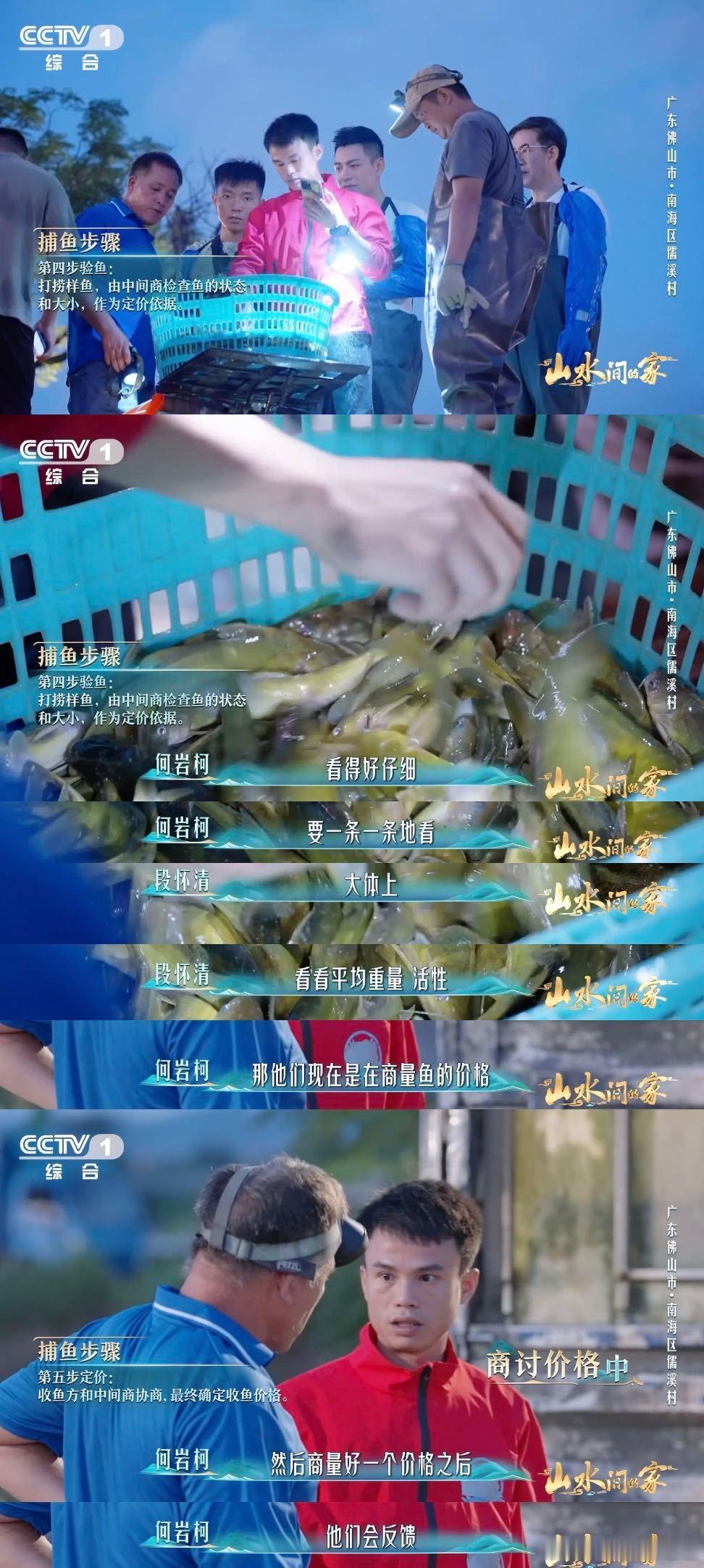 别小瞧这“鱼电梯”！佛山渔民靠它高效捕捞，上万斤黄骨鱼新鲜上岸，餐桌鲜味有保障～