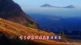 麒麟广场舞 男人不坏女人不爱DJ 原创舞步 附背