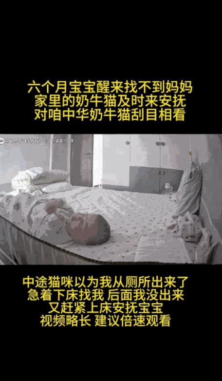 万物皆有灵！”湖北武汉，一6个月大的宝宝睡醒后发现妈妈不在身边，瞬间哭闹起来，眼