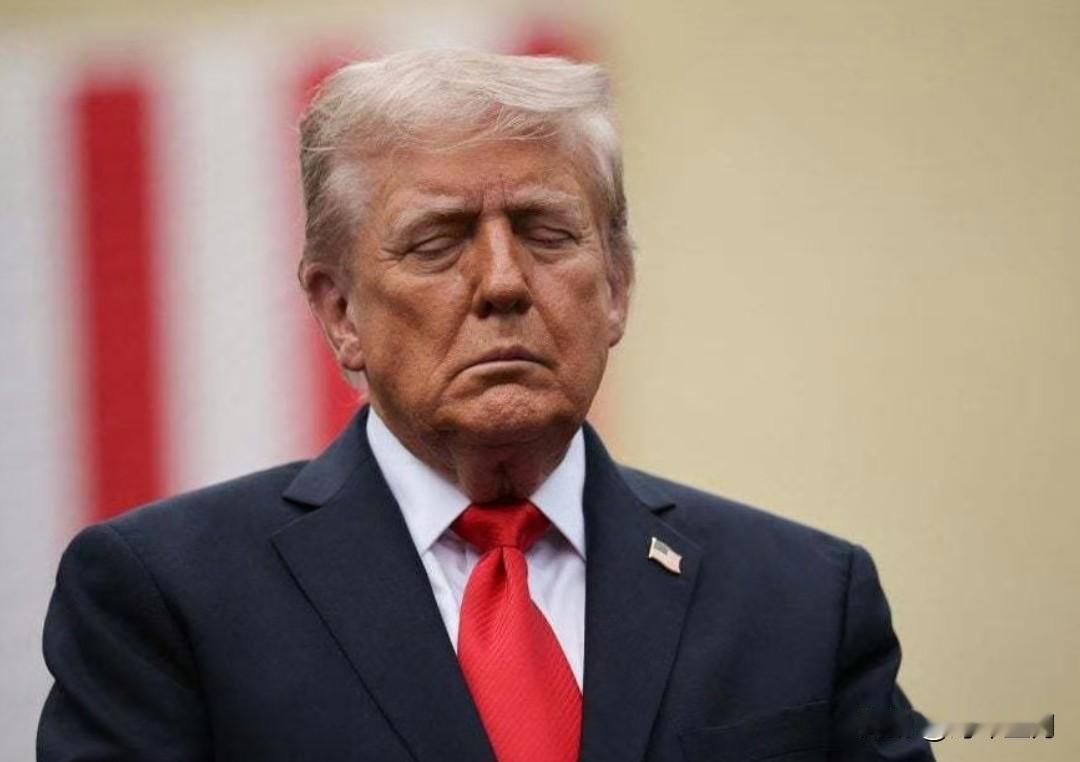 特朗普在达沃斯说：“丰田汽车——我在日本见到了丰田先生。于是我问他：您叫什么名字