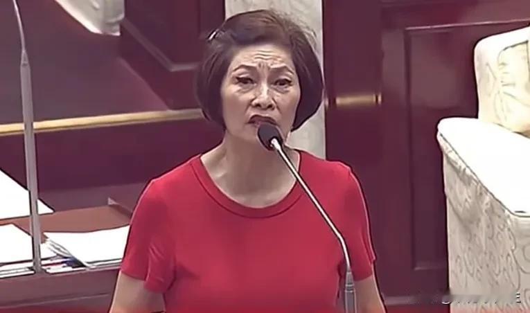 国民党台北市议员汪志冰痛批称，民进党很习惯于胡说八道，最让人家受不了的是胡说八道