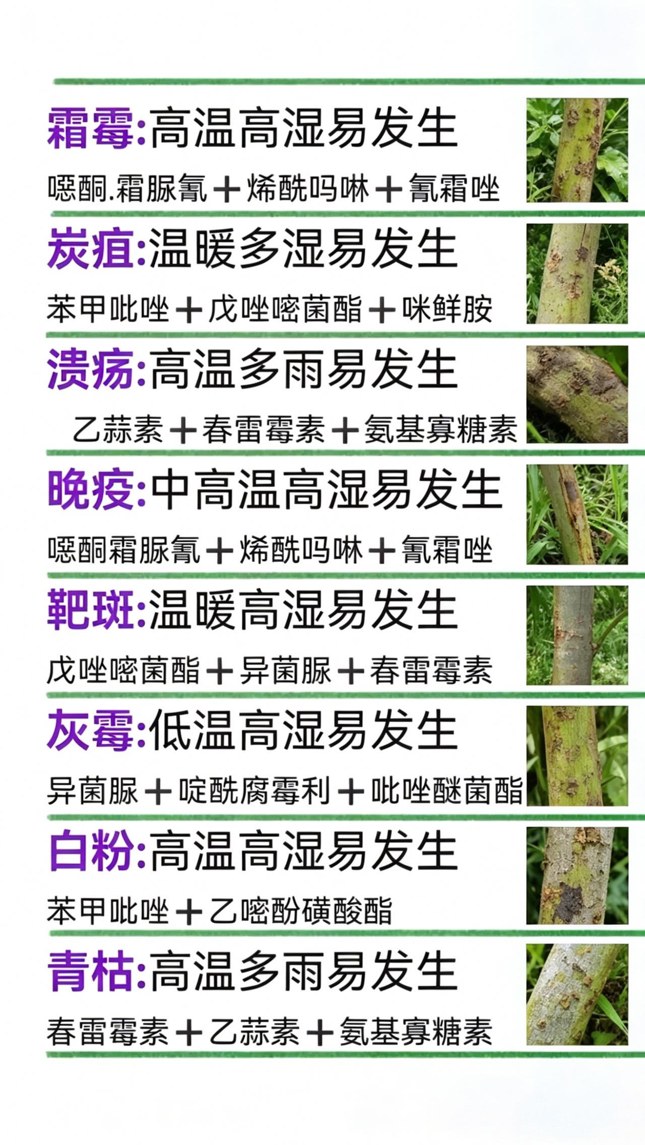 病害防治霜霉病炭疽病溃疡病
