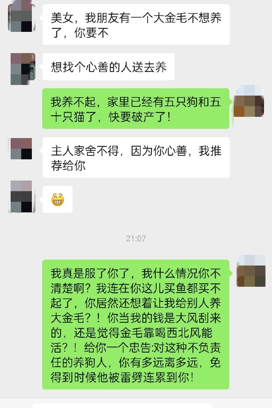 下雨天给垃圾站流浪猫投喂完食物，回来看到这种又是要把狗子送给我的消息就非常火大！