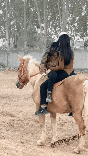 马:不仅吃狗粮，而且也承担了所有。