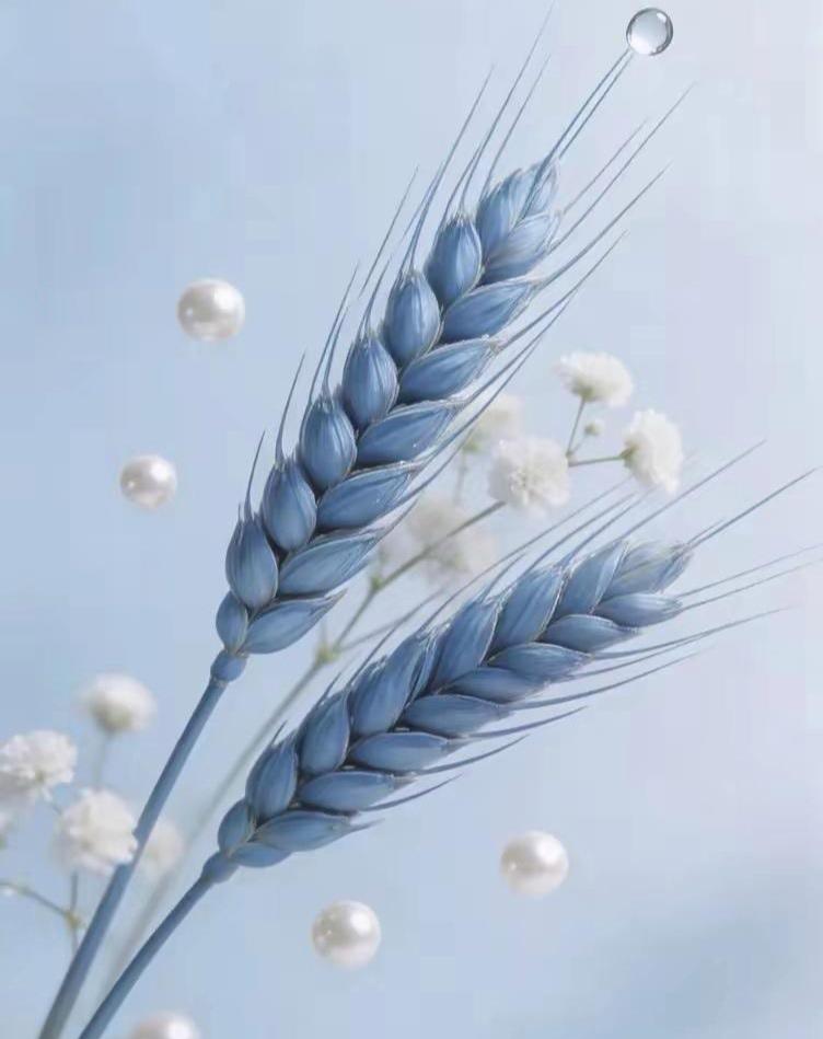 一年365天，都不联系一次的人，不管是什么关系，都可以放弃和放下了。不管