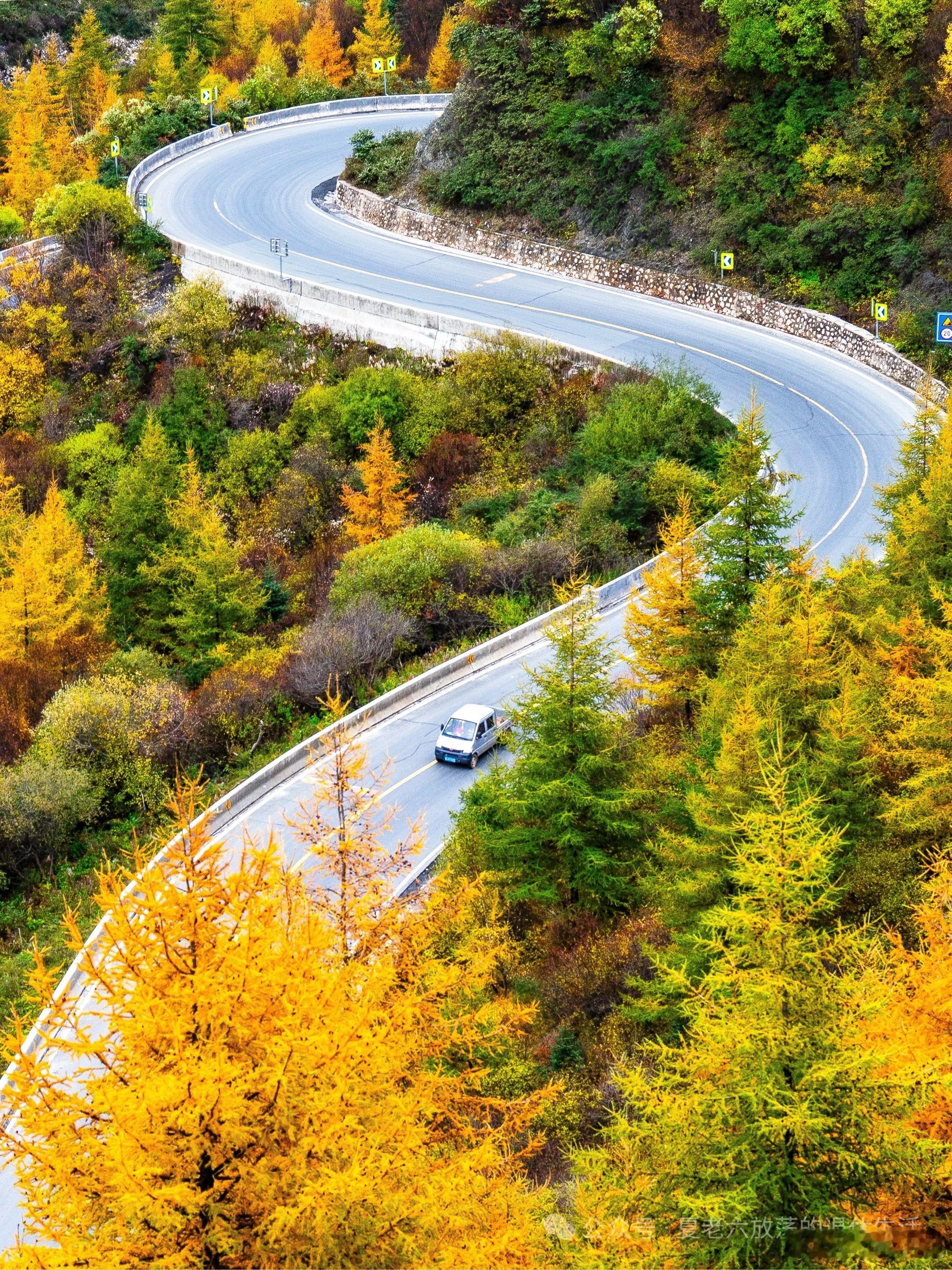 秋意渐浓，万物收敛。光影的对话也迎来片刻静默——那些期待中的故事暂缓了脚步。文化