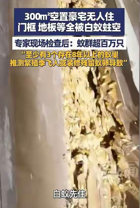 300平豪宅空置五六年，直接被白蚁蛀空！看完没人敢长期空房了。谁能想到？花大