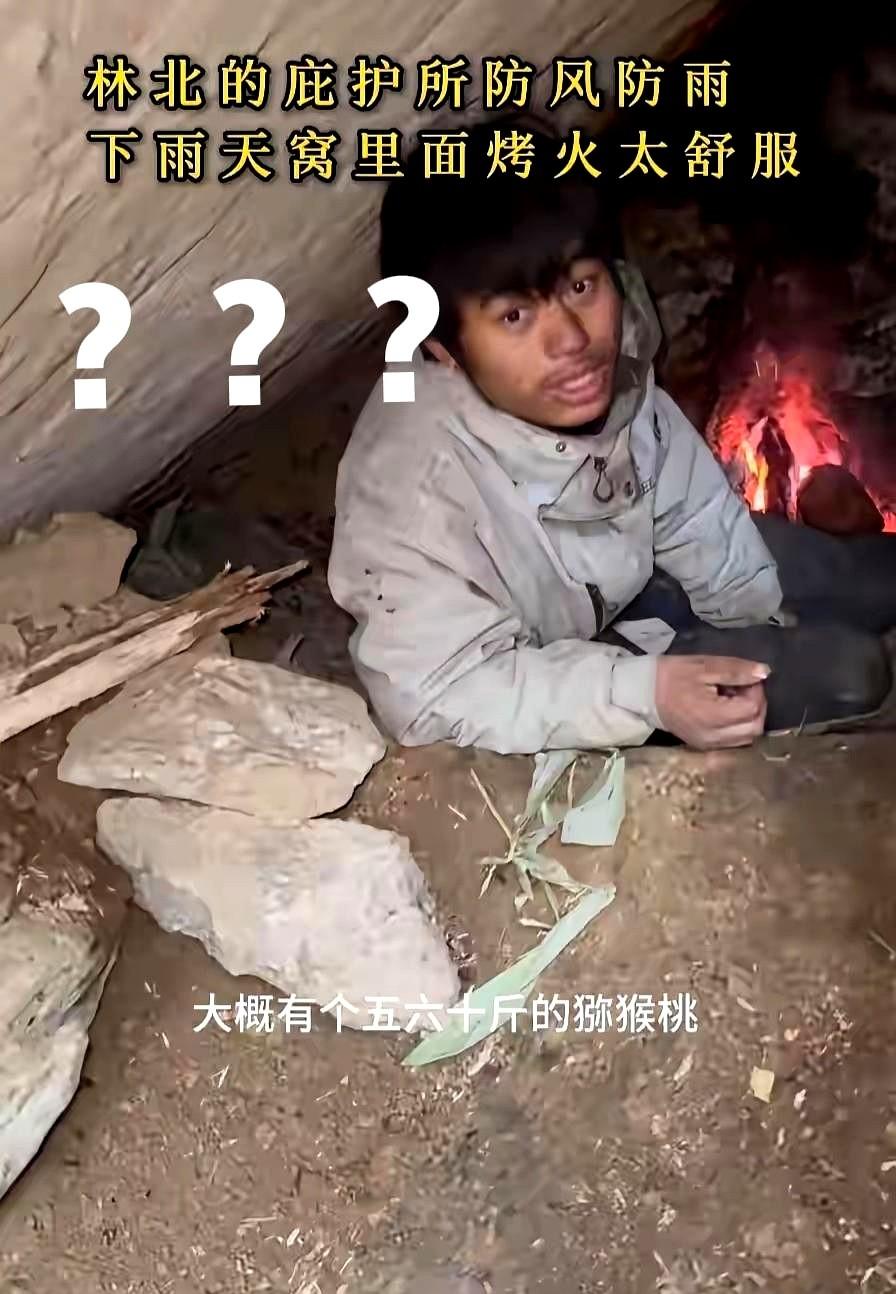 林北现在估计都是懵的。没进决赛之前，他自己的猕猴桃存量都有五六十斤，老中医竟然