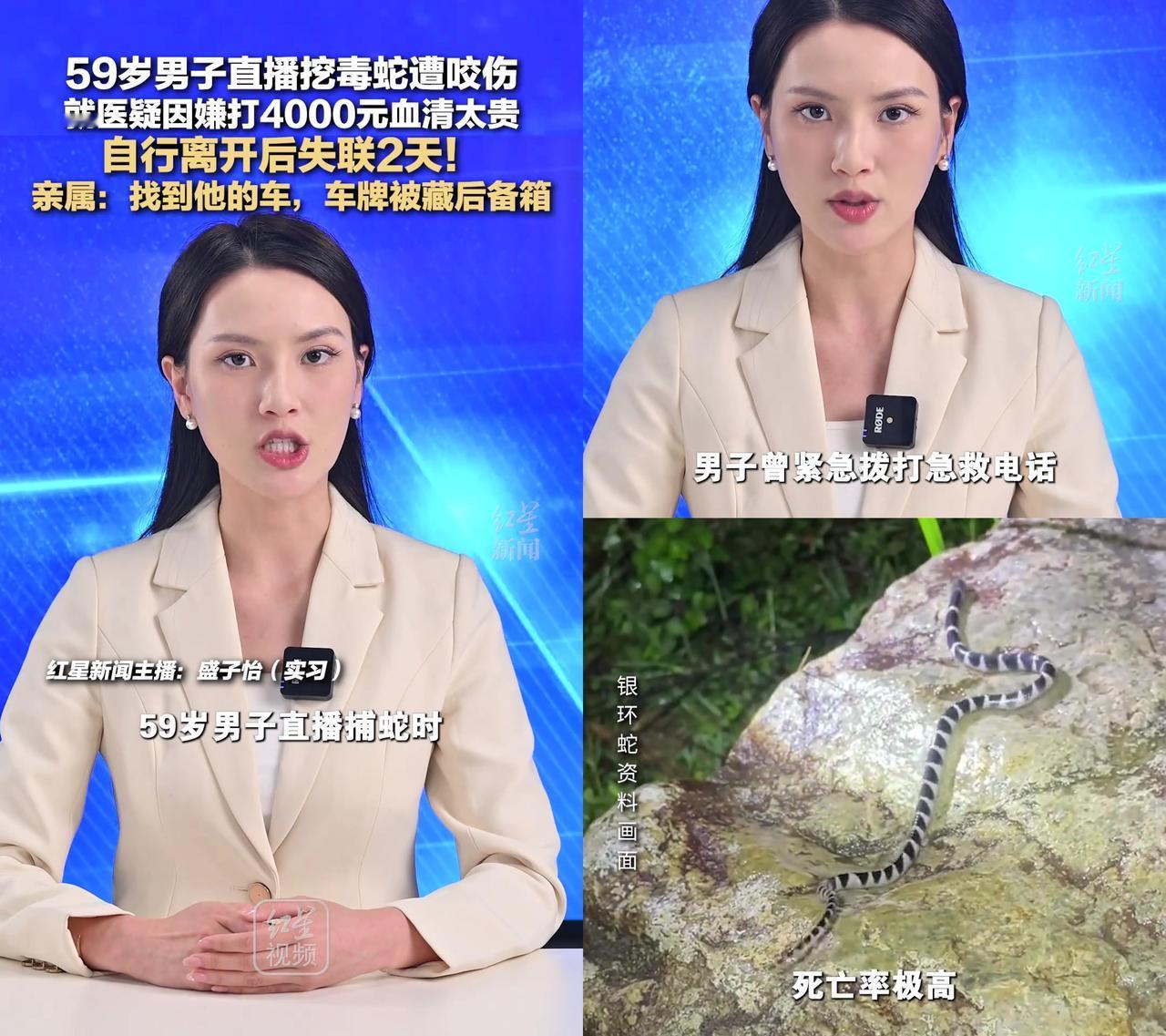 4000块,居然成了一条命的门槛?59岁大叔直播挖银环蛇赚生活费,被剧毒