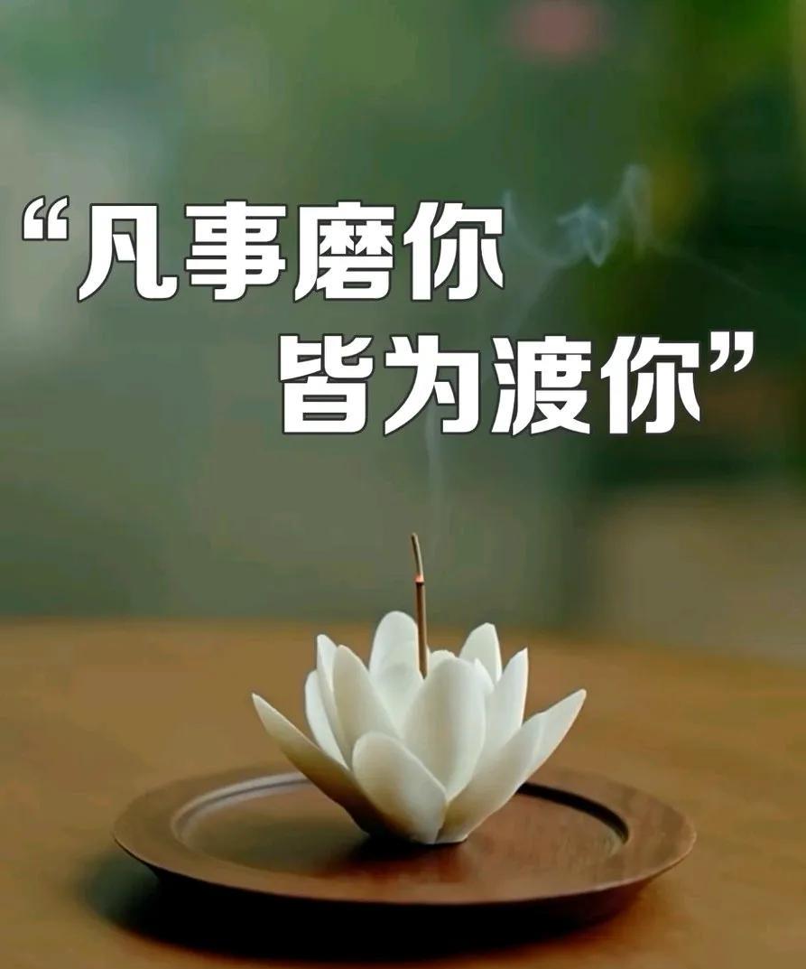 觉醒人生｜凡事磨你，皆为渡你王阳明说：“人间道场，淤泥生莲；世间磨难，皆是砥