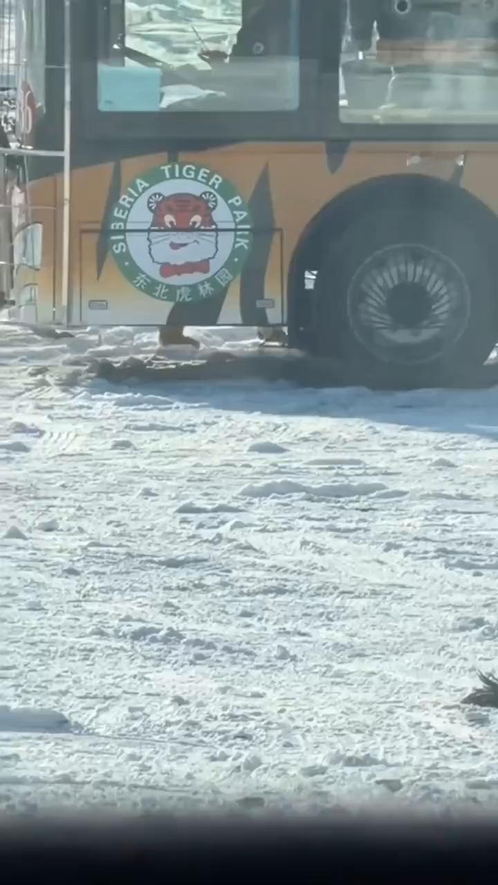 这波操作都看傻了。