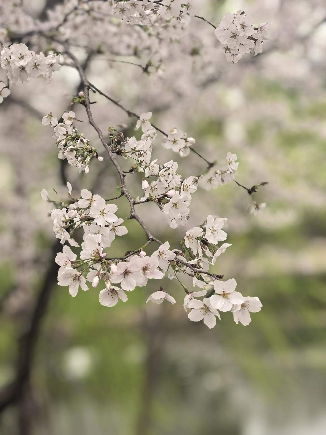 当初一心想买一楼带院子，弄懂缺点才明白，江南地区真不合适。相信很多买房人，都