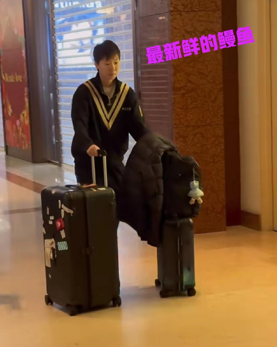 王曼昱出发回北京了！一大早鳗鱼就从新加坡出发回北京了，网友直呼，好早啊！看着