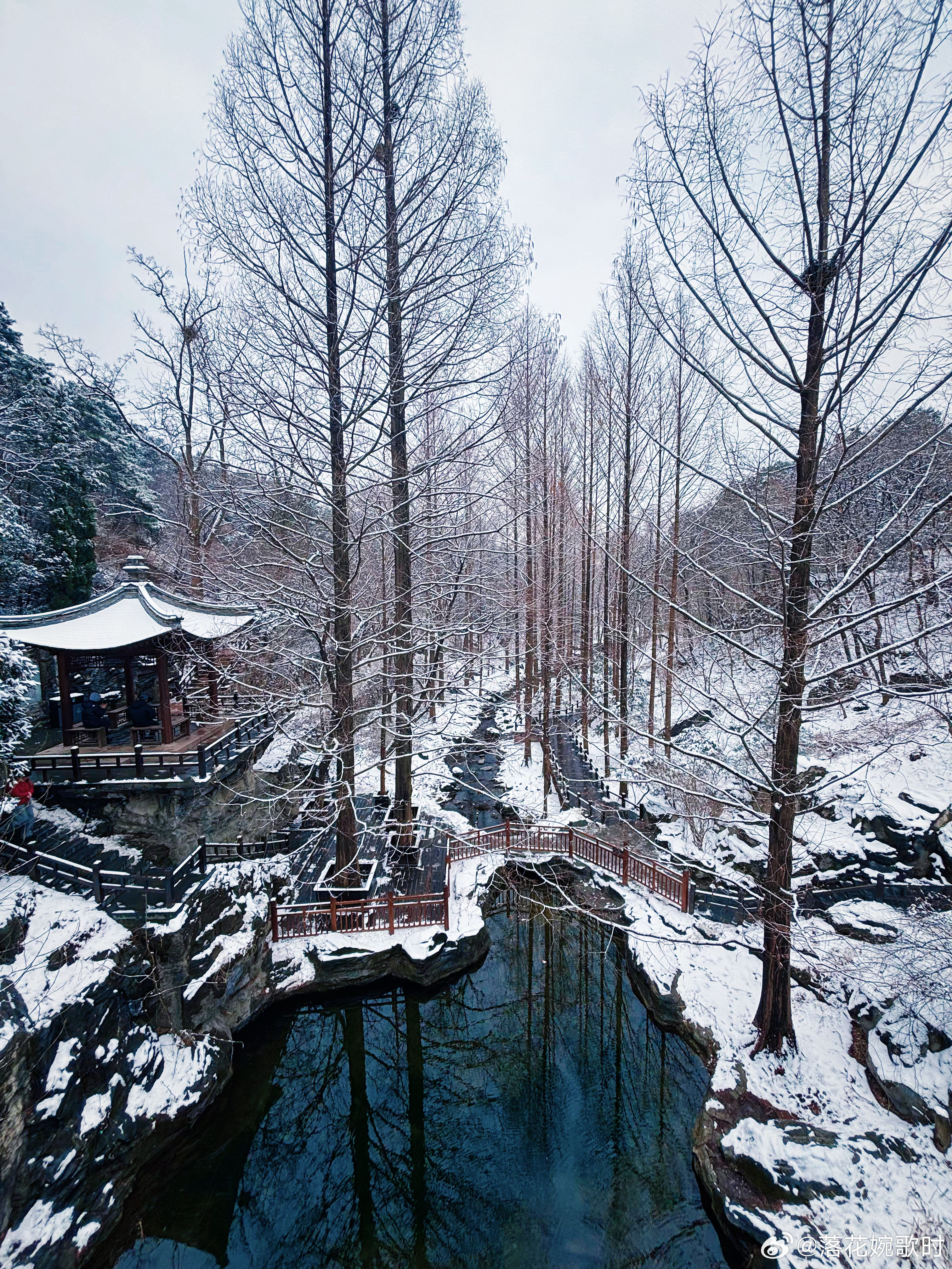 雪落知春意，梅开见诗心❄️摄影