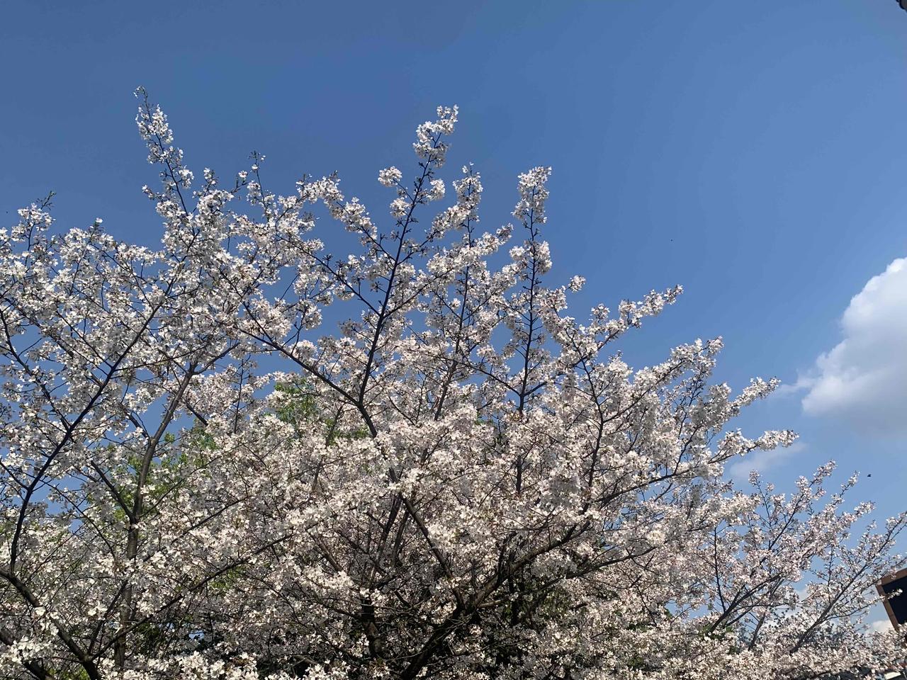 搜狐董事局主席张朝阳说：“别乱花钱、不欠债，存钱保障吃住健康，无压力才能从容思考