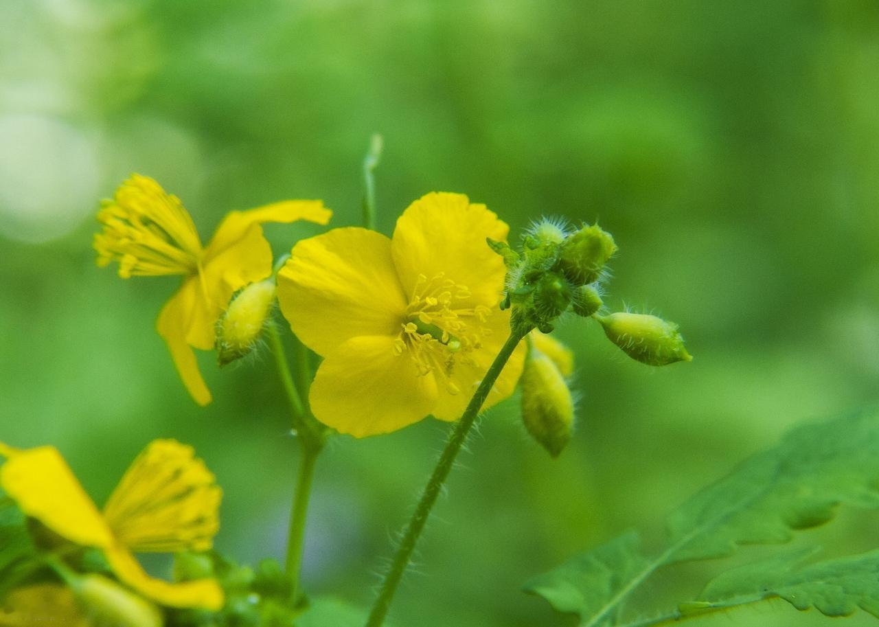 人之所迷，因在局内，人之所悟，因在局外。人生充满变数，定力如何，直接影响到人生的