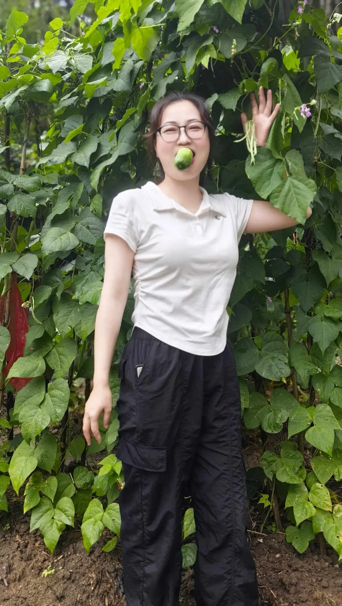 农村的小菜园