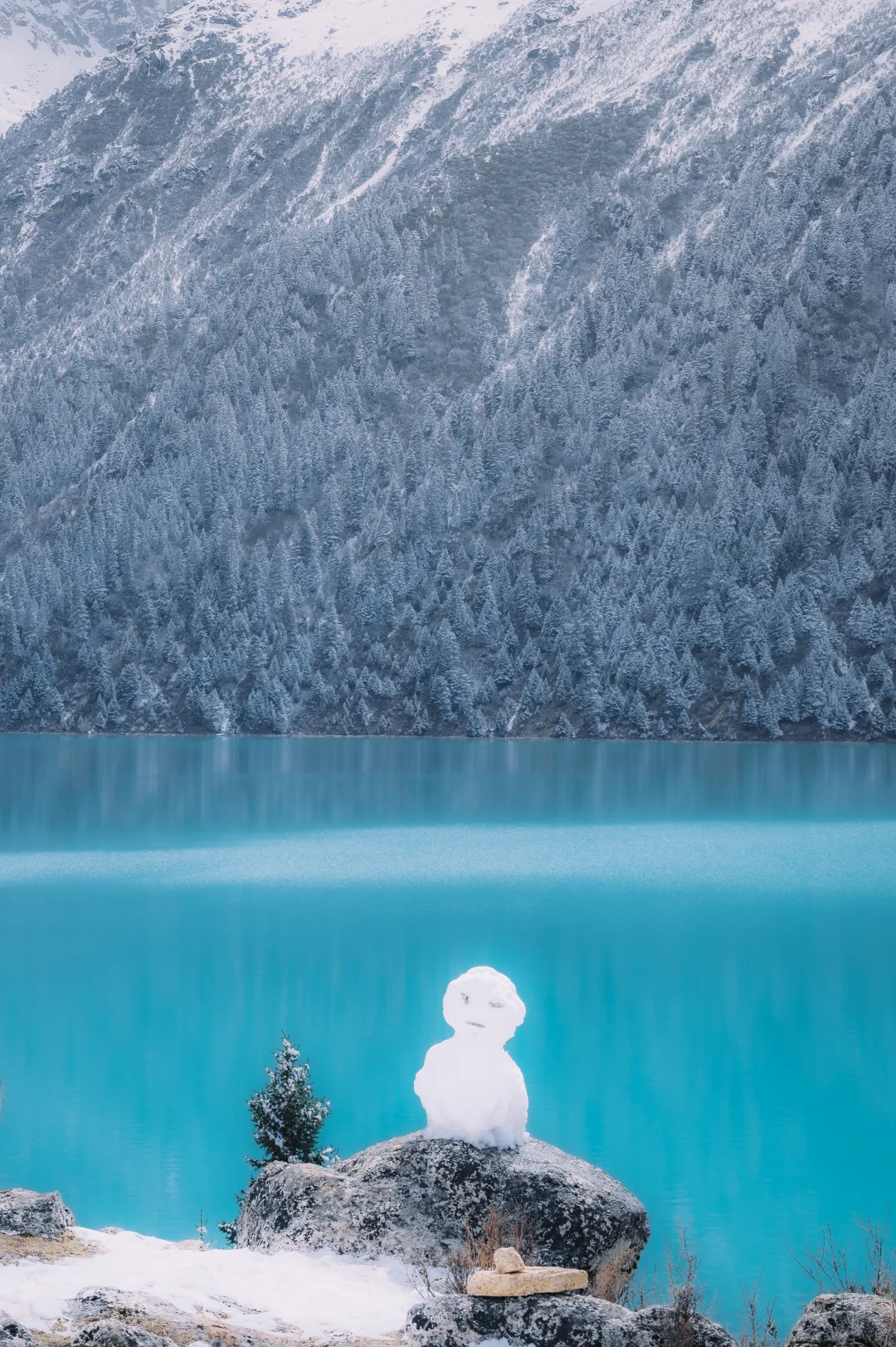 来川西担心高反，你想知道的所有都在这里了