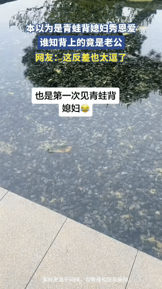 救命！今天刷到个颠覆我认知的视频！本以为是蛙哥背蛙姐撒狗粮，结果定睛一看——