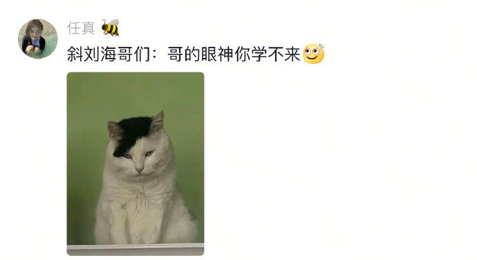 一看就知道葬爱家族走过来的