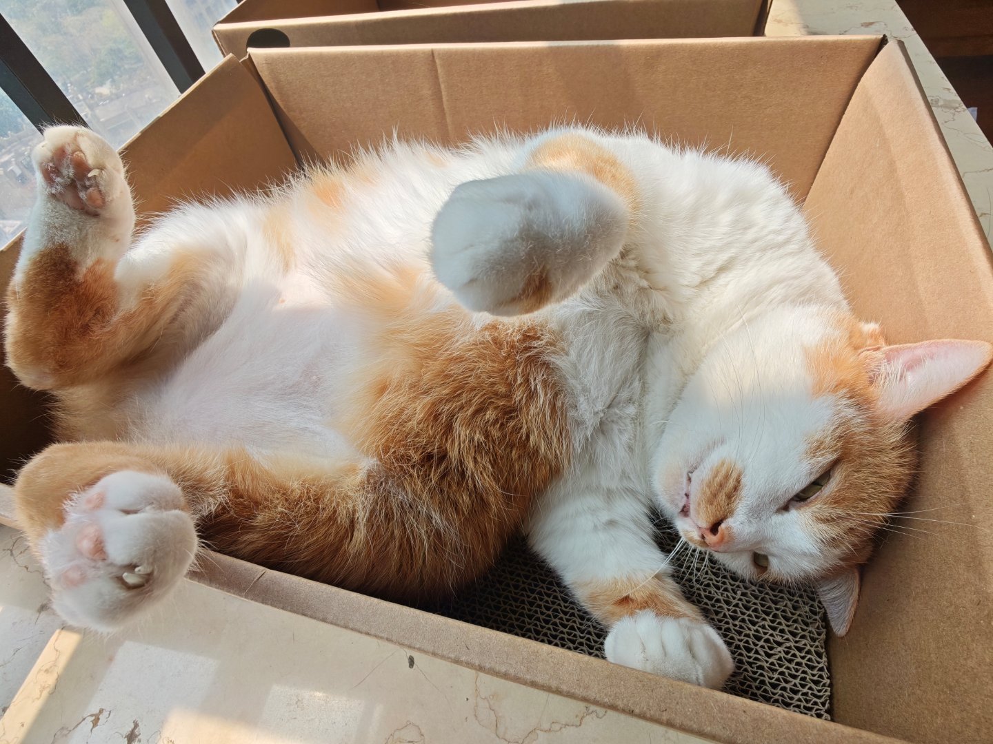 遇到这个问题怎么解决？在家里和公司我算了一下，大概有6个充电位置，需要6个充电头