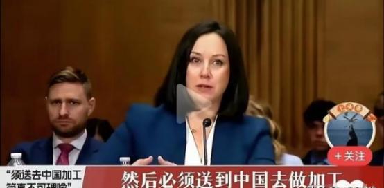 美国终于知道被我们卡脖子的疼痛了！一位美国稀土专家曾说：他们费尽周折从地下开采出