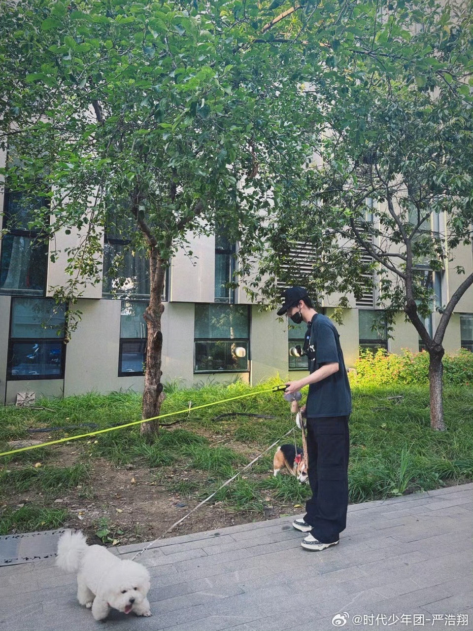 严浩翔📸与狗狗们在一起的治愈时光੯‧̀͡⬮\🌿​​​
