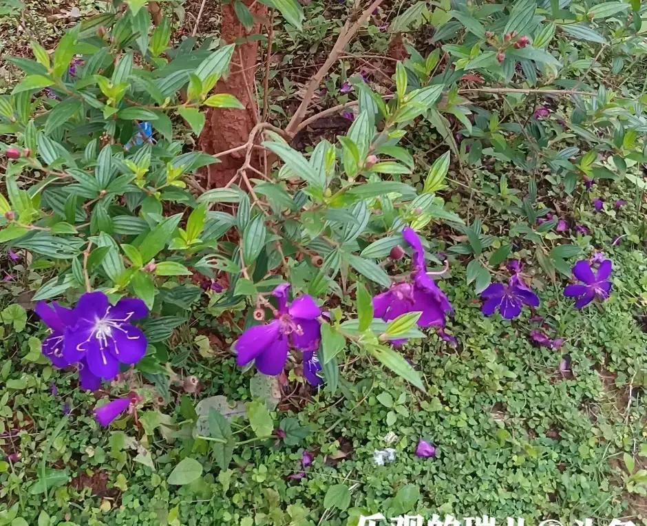 五十四岁的刘姐二婚找了个“金龟婿”，每月退休金一两万，百万存款加四室跃层，原以为