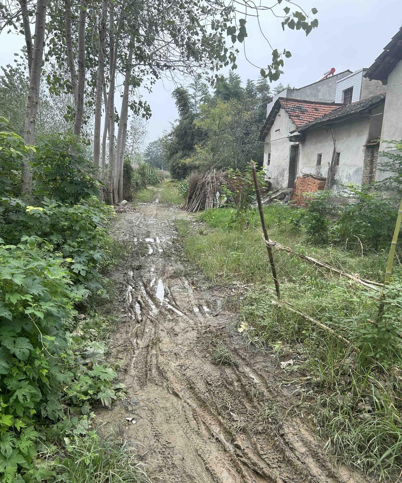 在农村，最被人瞧不起的，还是光棍和离了婚的人。哪怕你拥有博士后的学历，过了35