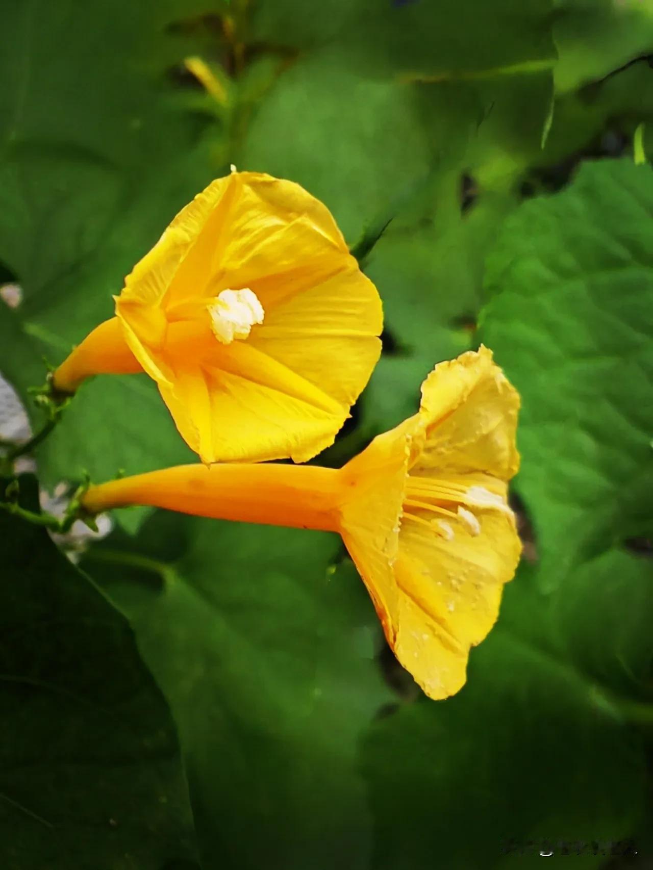 人到老年，最希望看到的是什么？本人认为，人到老年最希望看到的是有一个幸福美满的