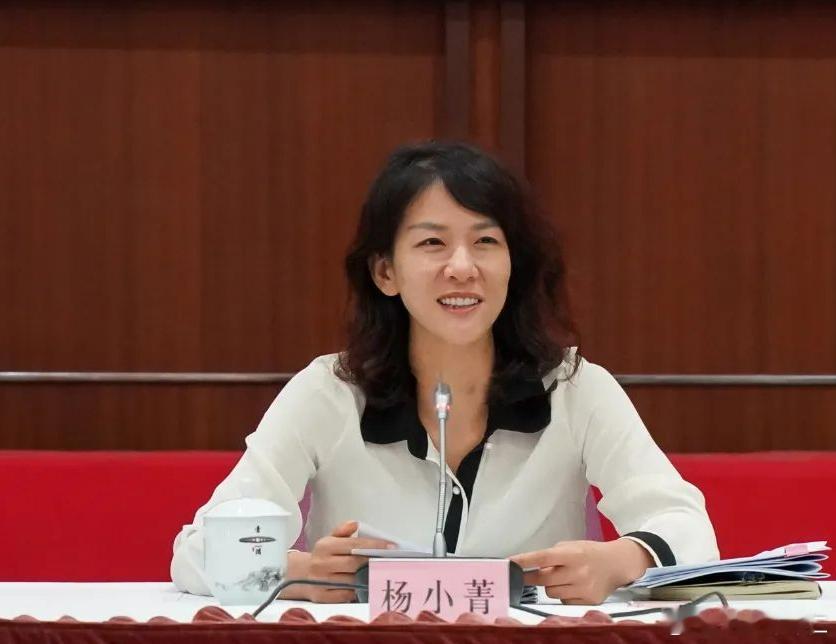 杨小菁，当选许昌市委书记杨小菁，女，汉族，1977年3月出生，籍贯江苏无锡，文化