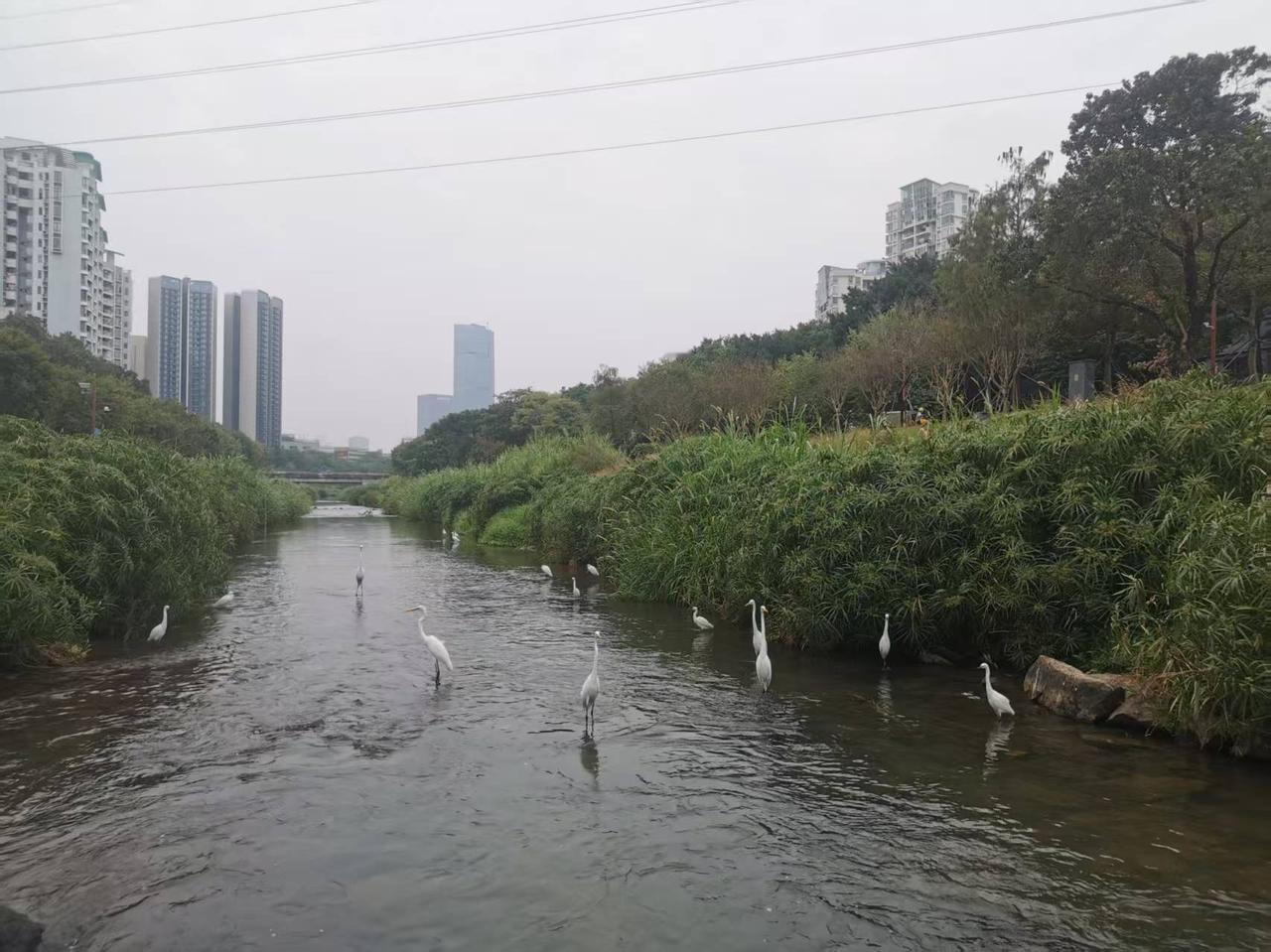 对出生3岁以内孩子进行补贴，但是对存量其它年龄段儿童没覆盖，让还未生育的年轻人看