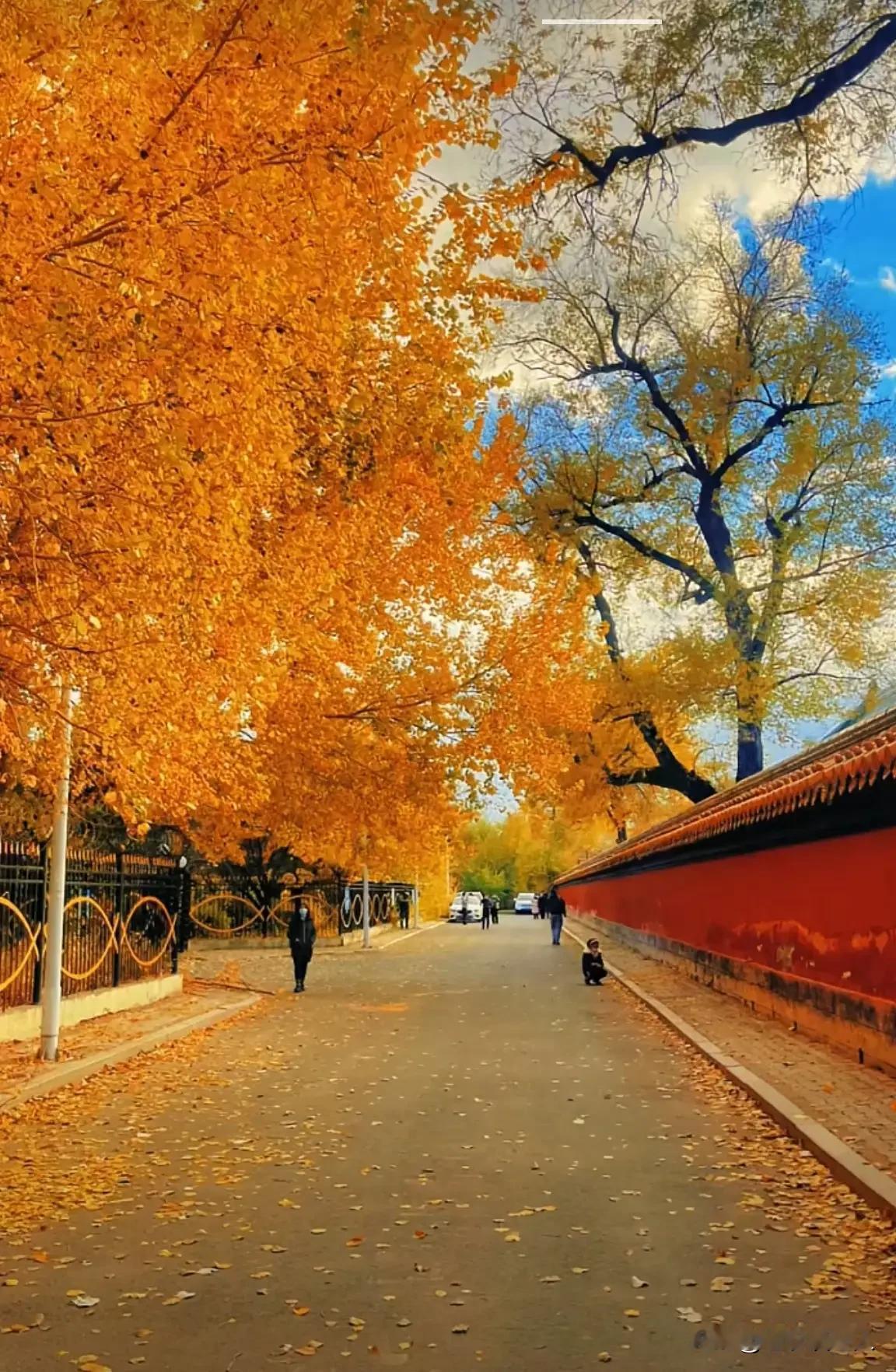 人的生死乃是自然现象，有生必有死，这是人生的必然归宿。如今，不少老人到了晚年，